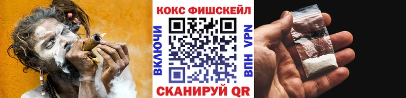 Cocaine Fish Scale  даркнет сайт  Зеленокумск 