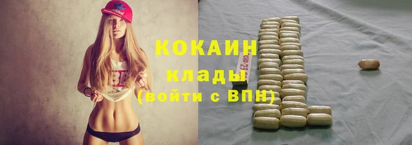ПСИЛОЦИБИНОВЫЕ ГРИБЫ Алзамай