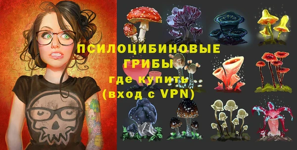 ПСИЛОЦИБИНОВЫЕ ГРИБЫ Алзамай