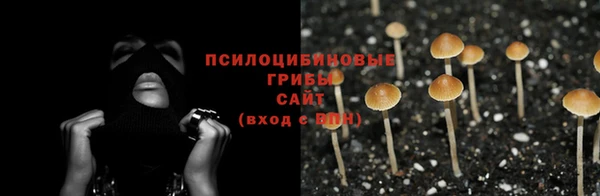 крисы Абинск