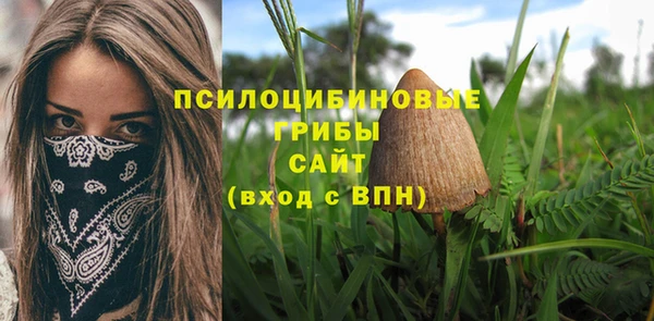 apvp Алексеевка