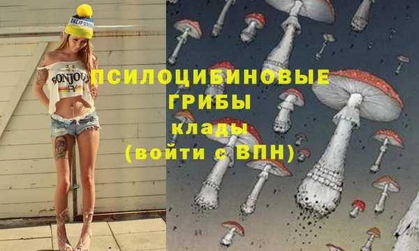 крисы Абинск