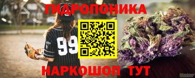 прущие грибы Краснокаменск