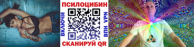 shop состав  даркнет сайт  Зеленокумск  Псилоцибиновые грибы мицелий 